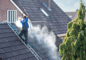 Roof Cleaning